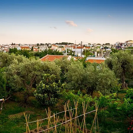 Διαμέρισμα Act Art Skiathos