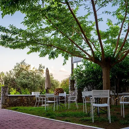 Διαμέρισμα Act Art Skiathos